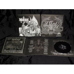 INSULTERS  - We Are the Plague CD DIGI EP Format